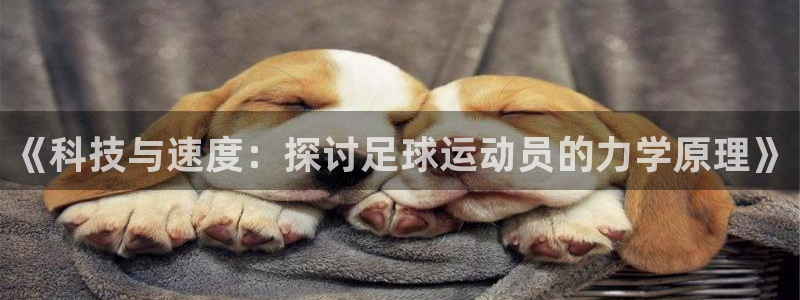 光速体育免费高清：《科技与速度：探讨足球运动员的力学原理》