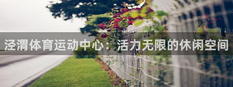 光速体育直播免费观看nba：泾渭体育运动中心：活力无限的休闲空间