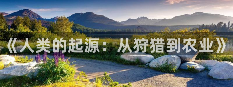 光速体育直播NBA在线观看：《人类的起源：从狩猎到农业》