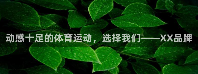 光速体育直播高清免费观看：动感十足的体育运动，选择我们——XX品牌