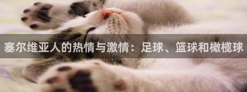 光速体育app官方下载地址：塞尔维亚人的热情与激情：足球、篮球和橄榄球