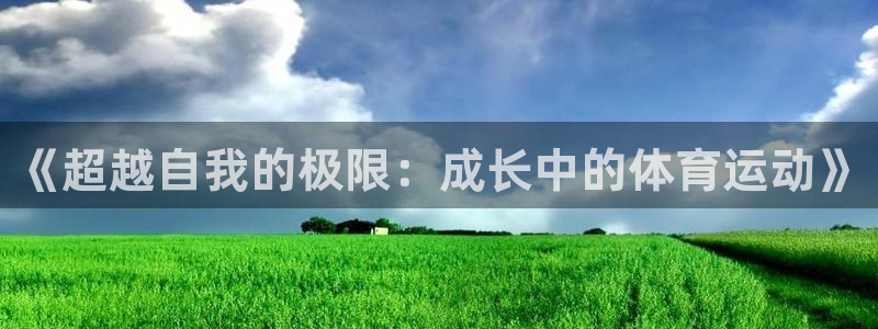 光速体育ios官方网站：《超越自我的极限：成长中的体育运动》