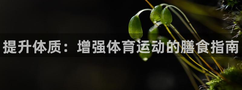 光速体育直播nba：提升体质：增强体育运动的膳食指南