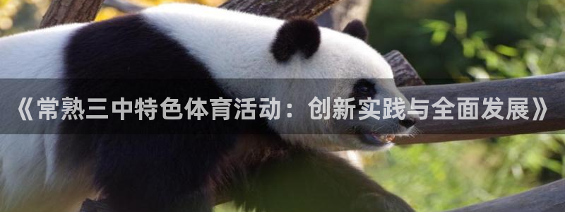 光速体育改名后叫什么名字了：《常熟三中特色体育活动：创新实践与全面发展》
